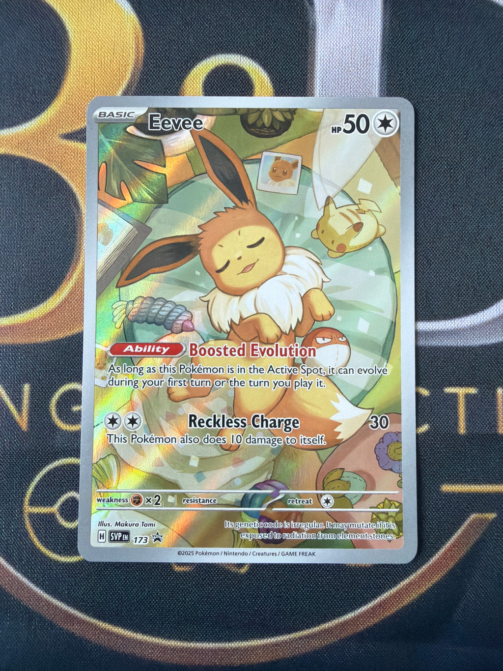 Eevee SVP173 — Scarlet & Violet Promo — Full Art Holo — Illus. Makura Tami — NM